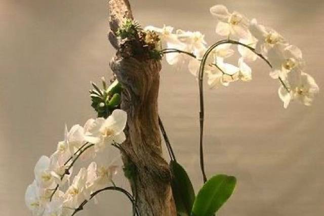 Floristería Juanes
