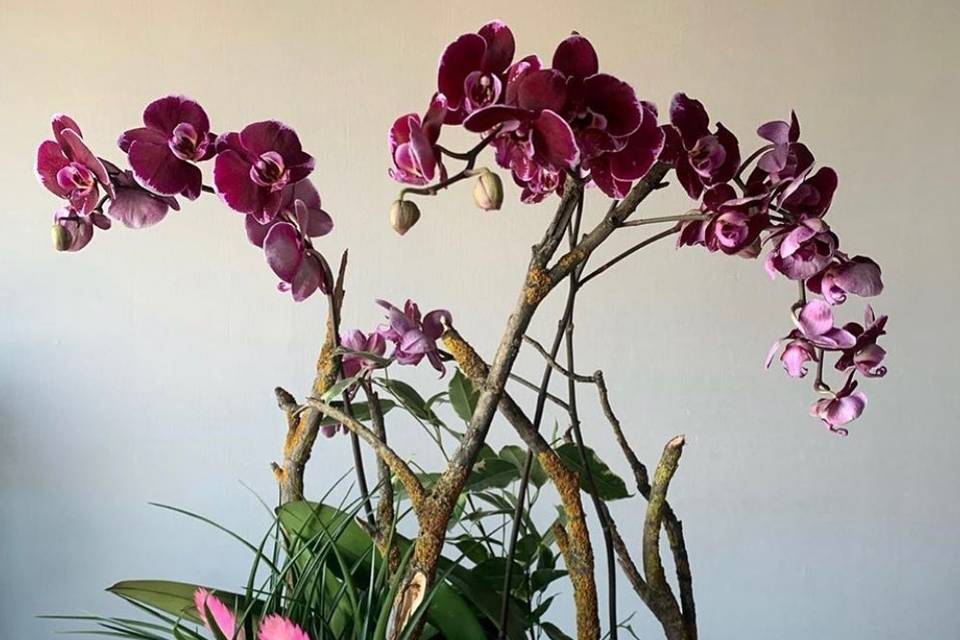 Floristería Juanes