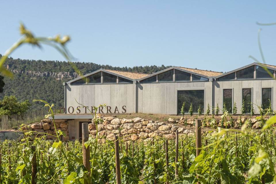 Dosterras Wine Garden