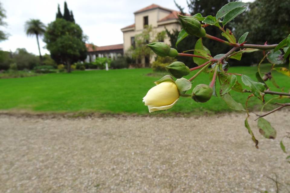 La Quinta del Ynfanzón