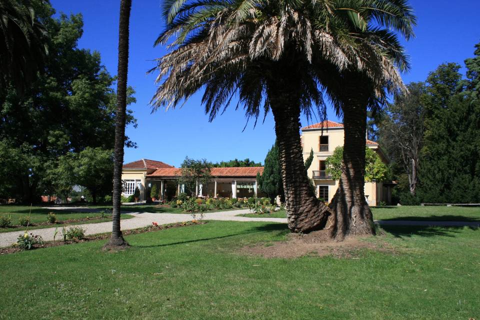 La Quinta del Ynfanzón