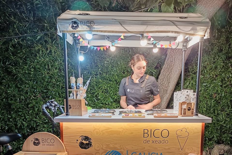 Bico eventos