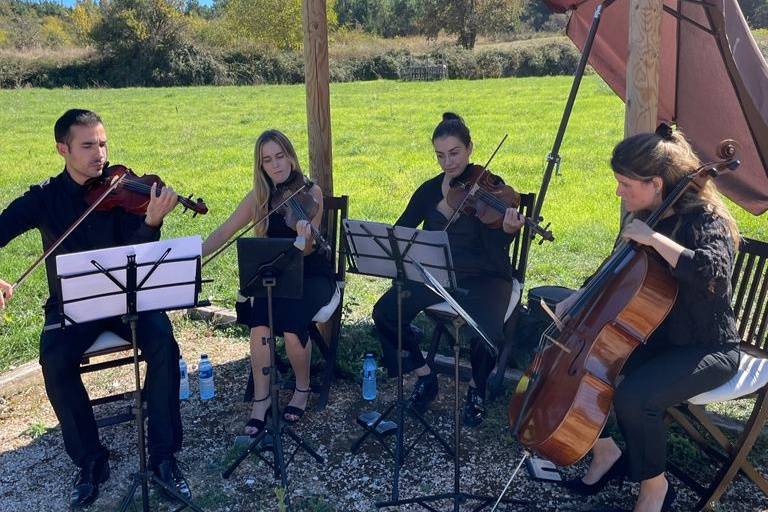 Cuarteto al aire libre