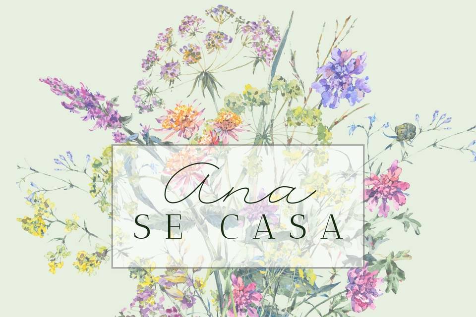 Ana se casa