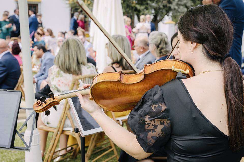 Boda civil. Hacienda La Albaida