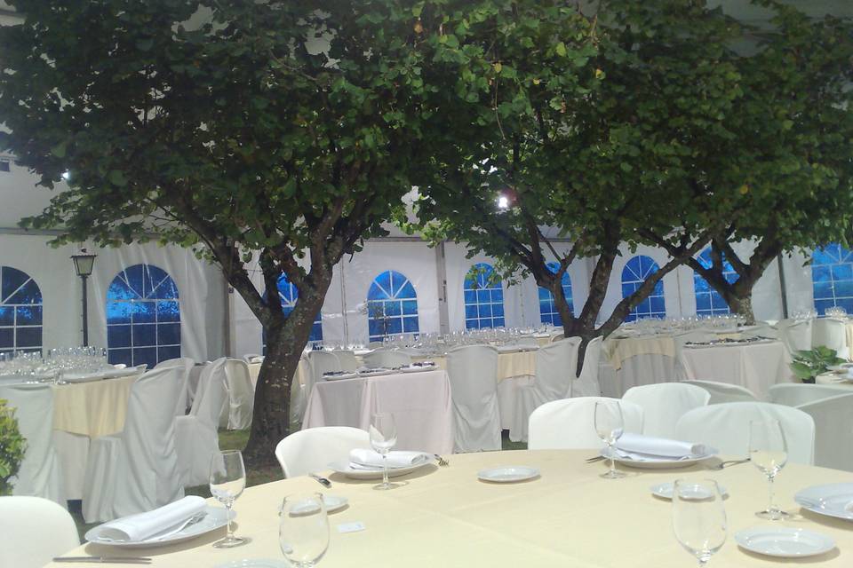 Original interior de carpa