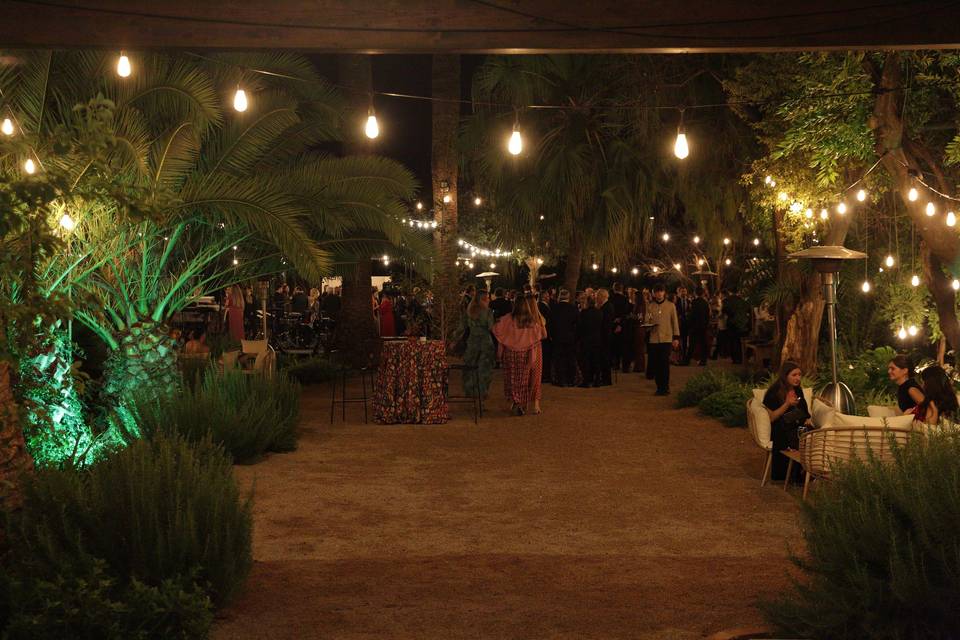 Cóctel jardín de noche