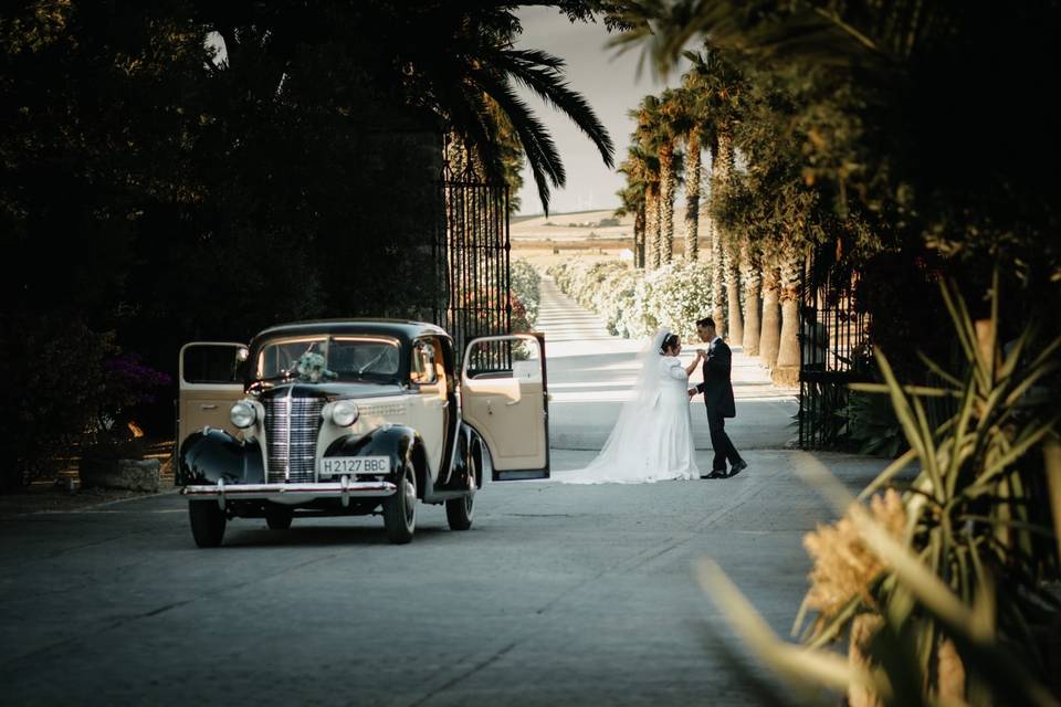 Boda Entrada Palmeras