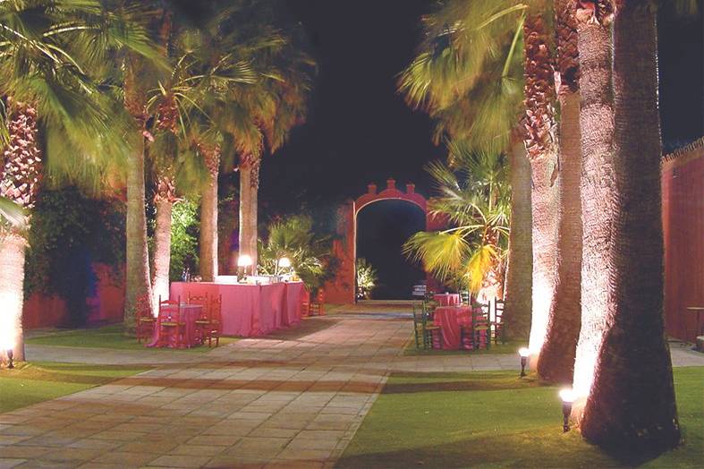 Patio de palmeras de noche