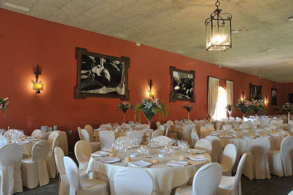 Salón Jerez en blanco