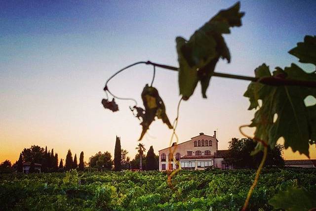 Clos barenys - l'orangerie