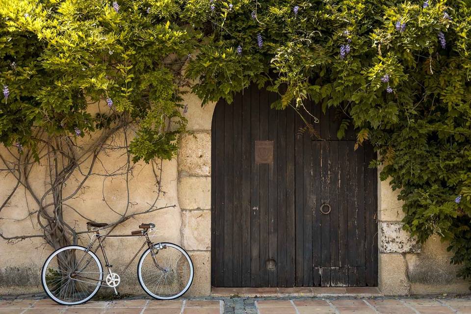 Clos Barenys - L'Orangerie