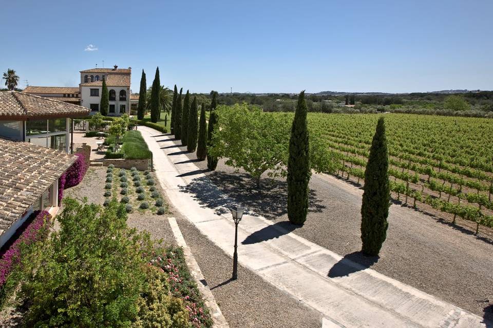 Clos barenys - l'orangerie