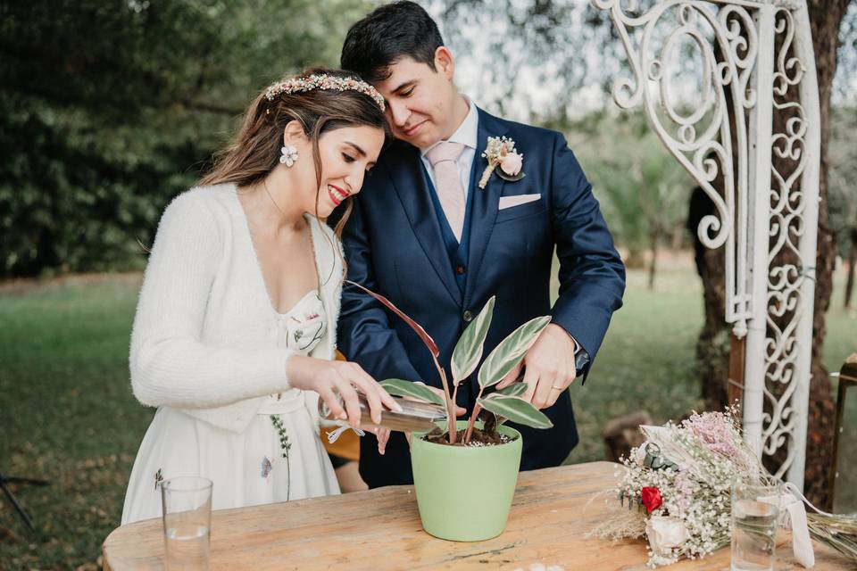 Plantando su árbol