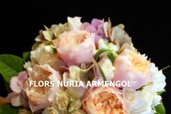 Flors Nuria Armengol