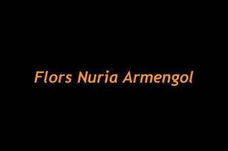Flors Nuria Armengol logo