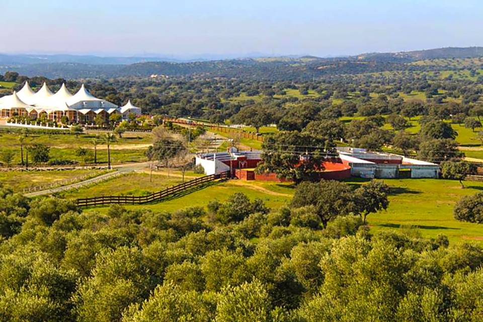 Vista panorámica