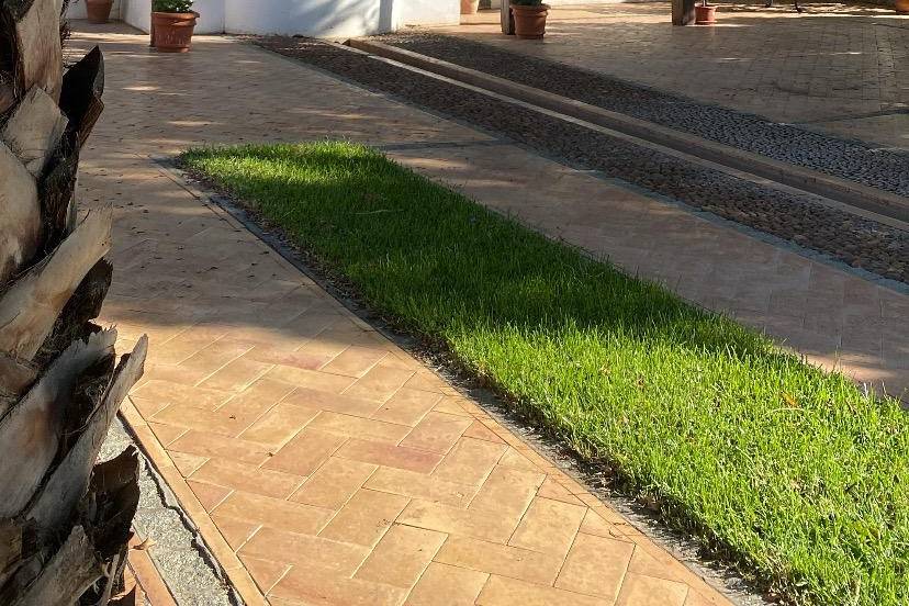 Fuente Jardín Principal