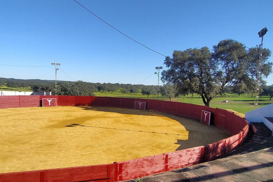 Plaza de Toros