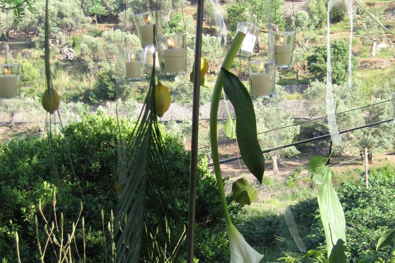 El encanto de una boda campestre