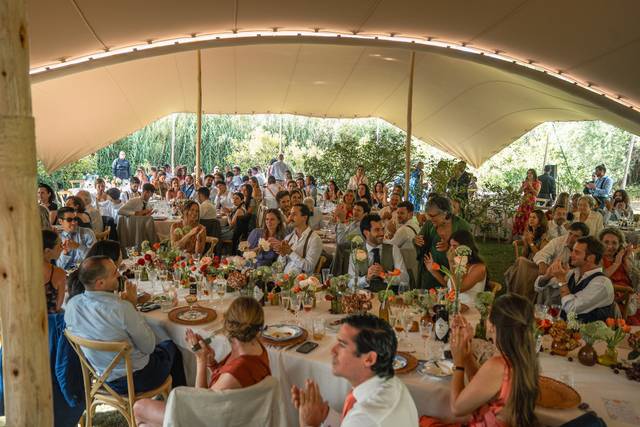 Comida en huerto de naranjos