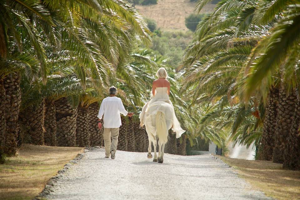 La entrada