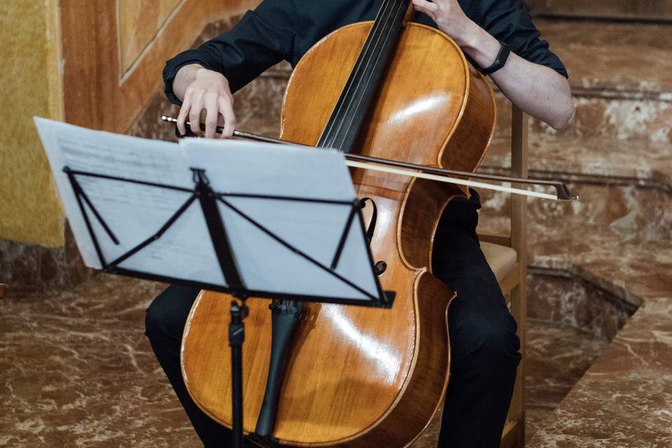 Violonchelista