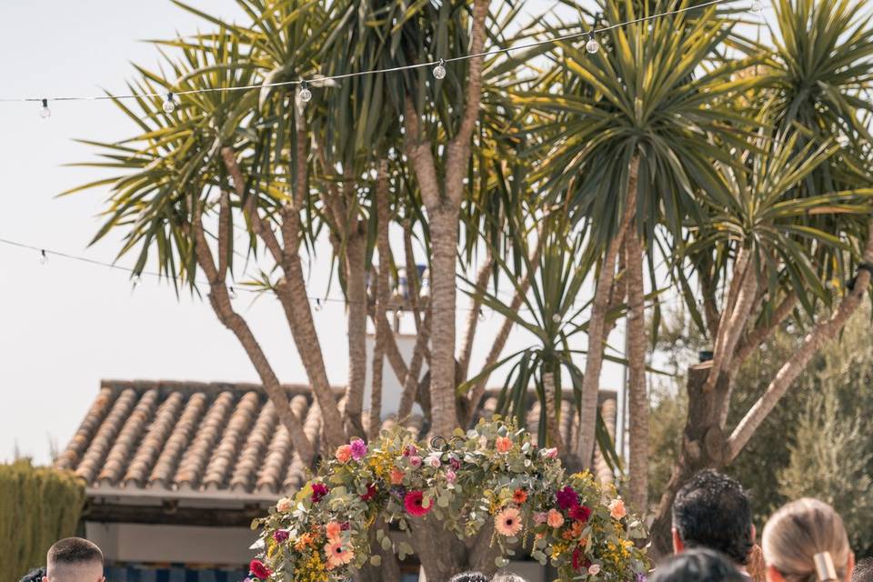 Entrada novia