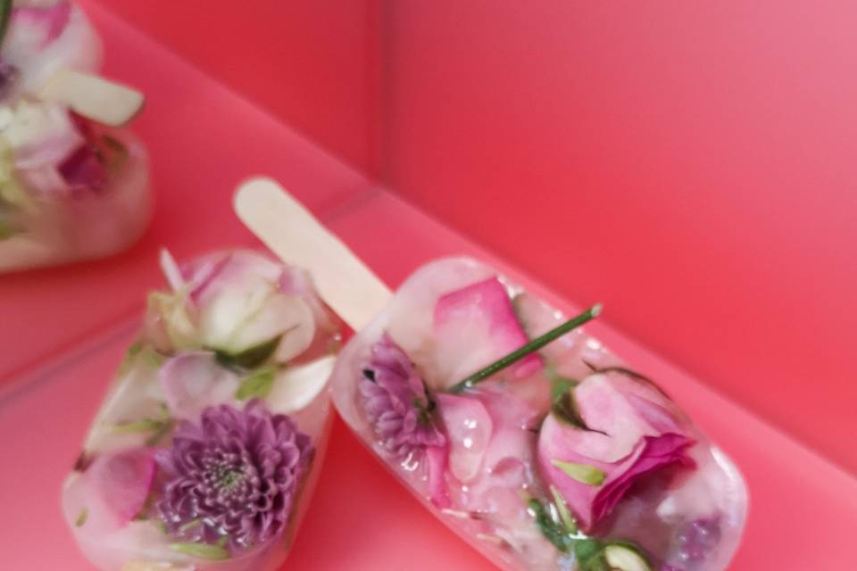 Polos de flores