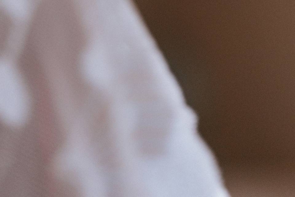 Sonrisas de la novia