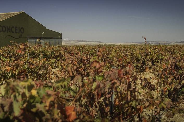 Concejo Hospedería y Bodegas