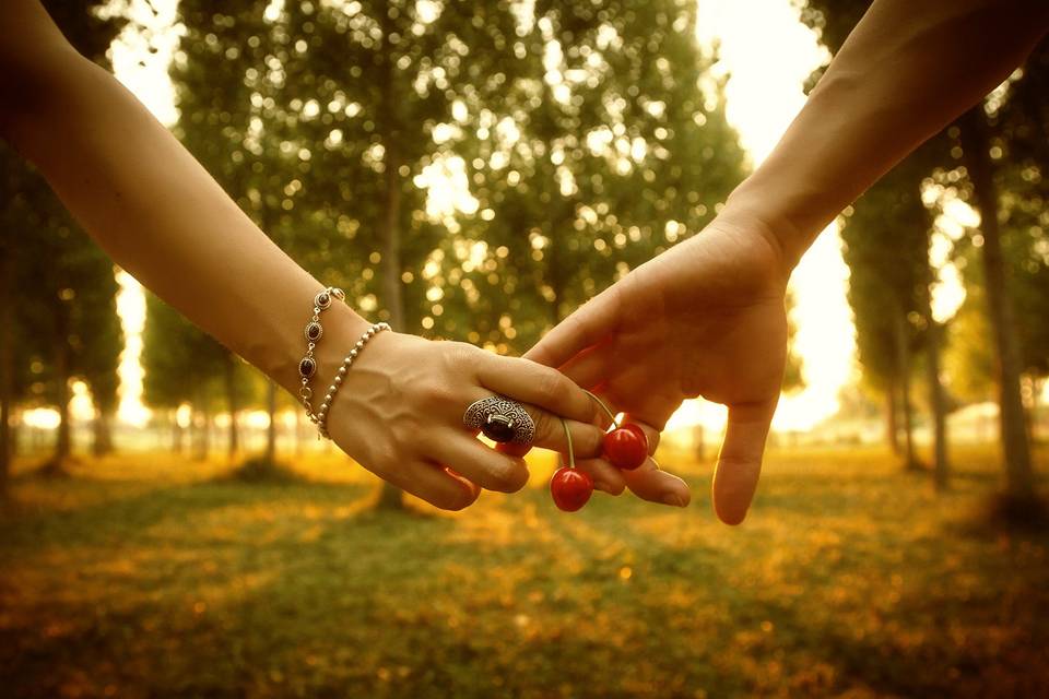 Preboda en el bosque