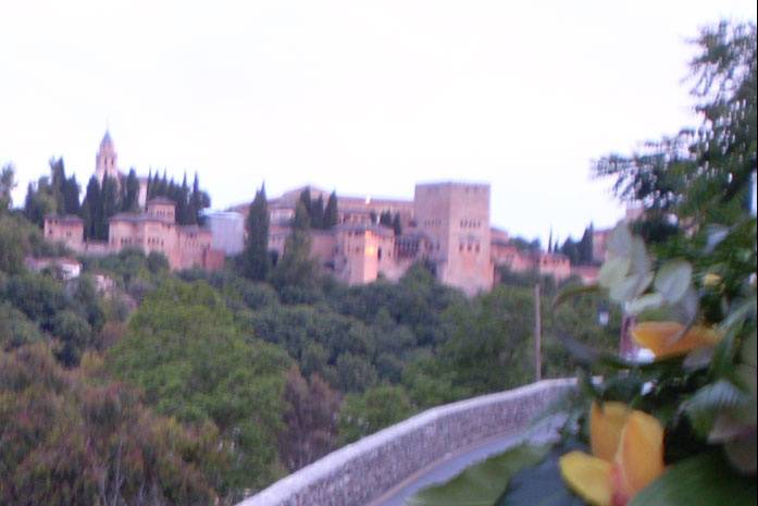 Vista de La Alhambra