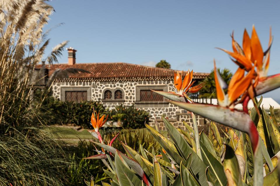 Finca San Miguel