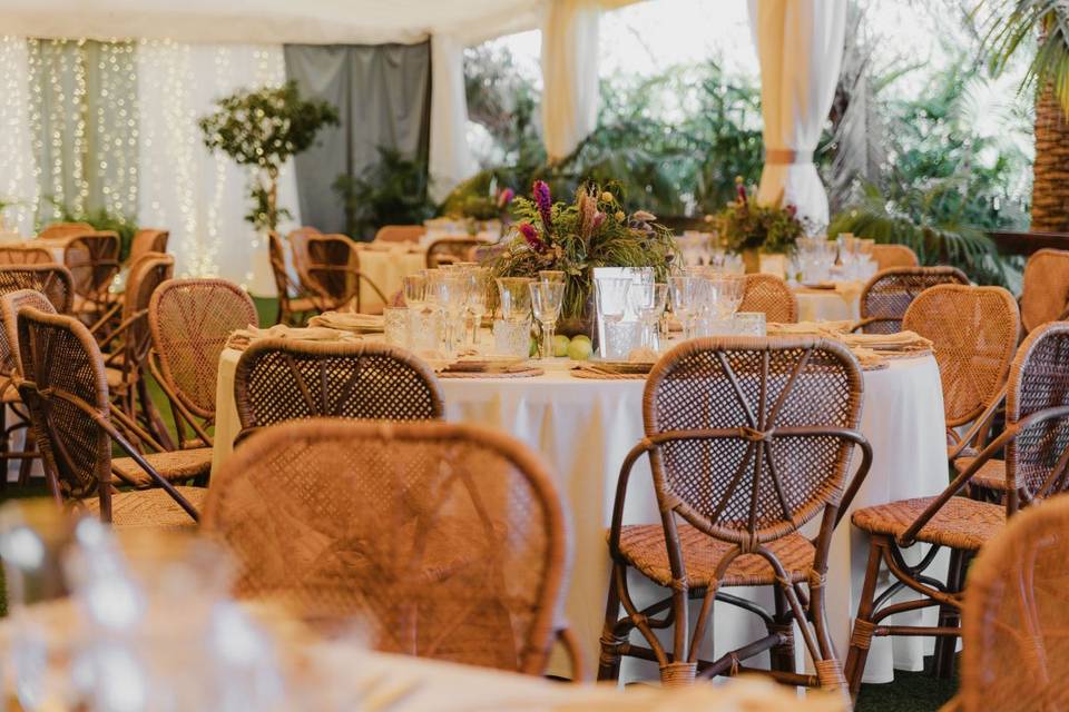 BANQUETE