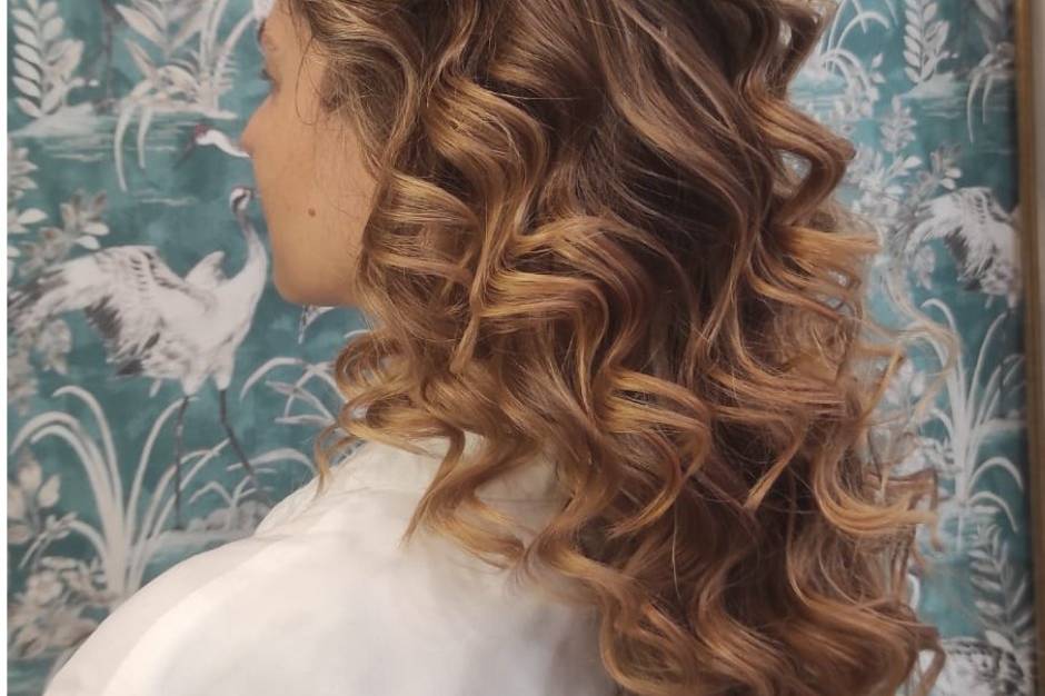 Ondas de invitada