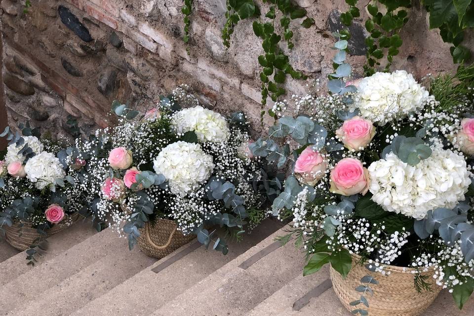 Floristeria Caladium