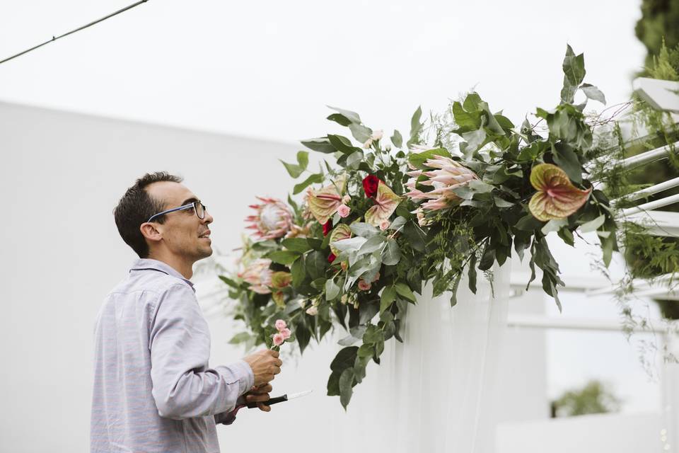 Floristeria Caladium