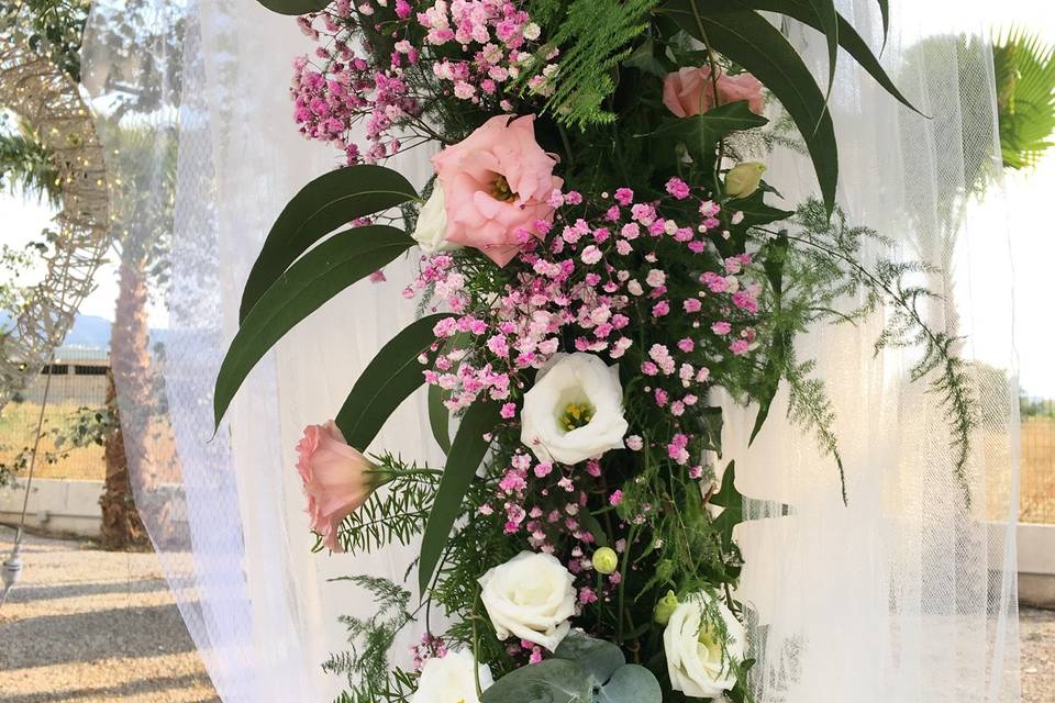 Floristeria Caladium