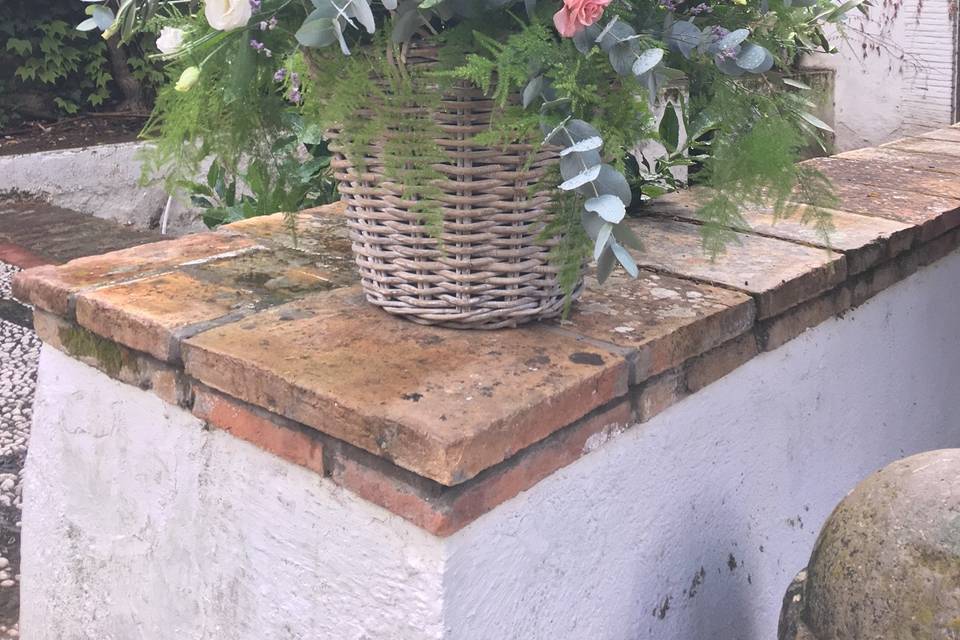 Floristeria Caladium