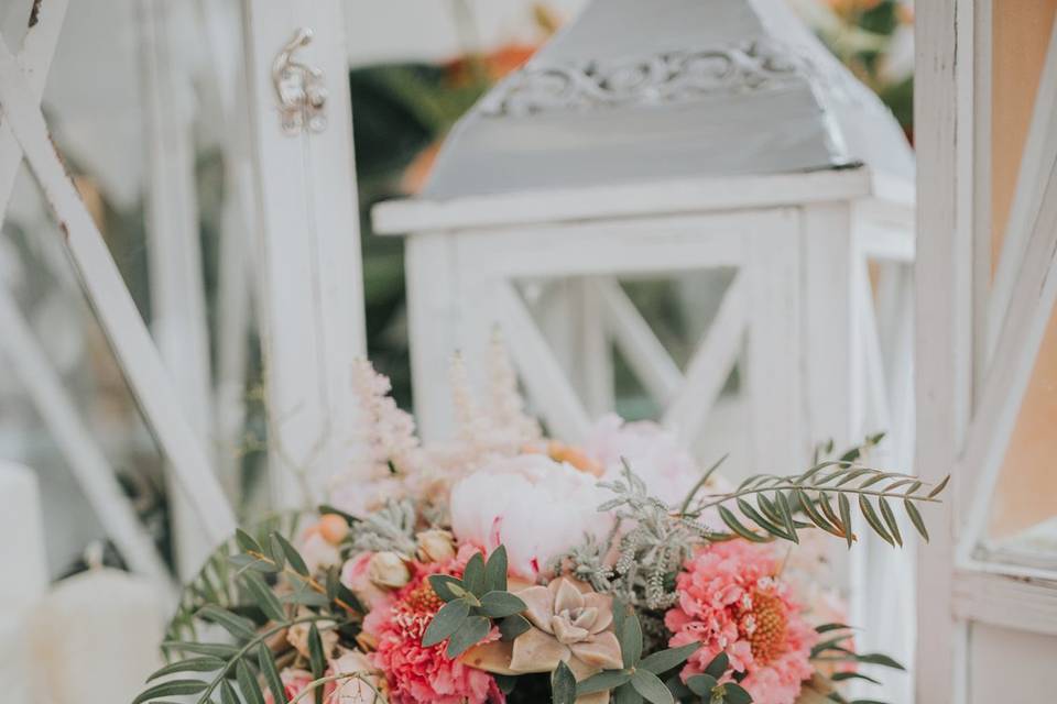 Floristeria Caladium