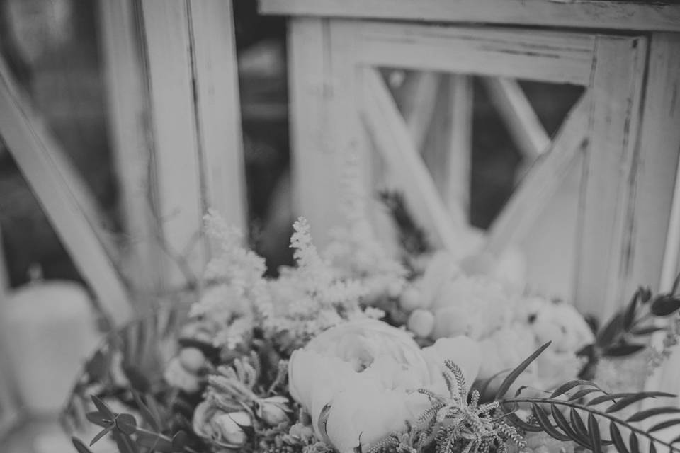 Floristeria Caladium