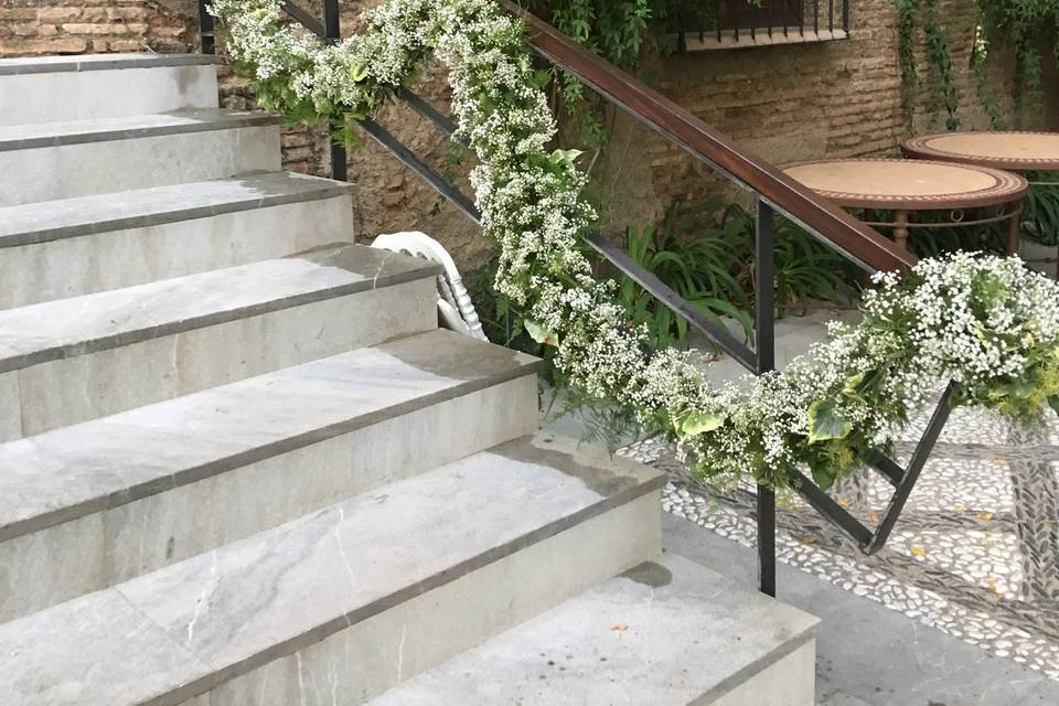 Floristeria Caladium