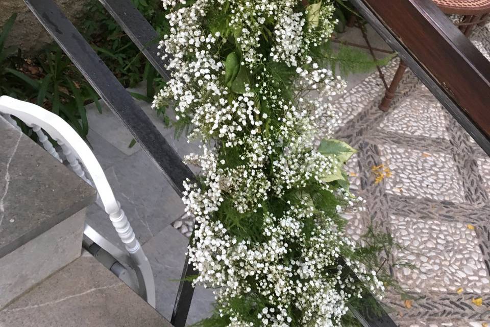 Floristeria Caladium