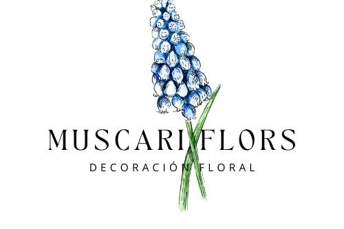 Cajas decorativas