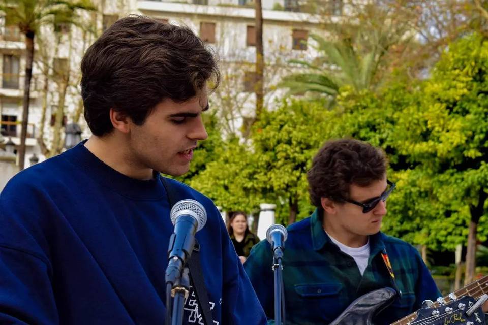 Cantante y guitarrista