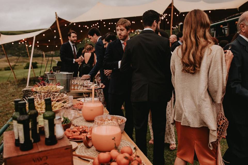 Carpa arena para cocktail