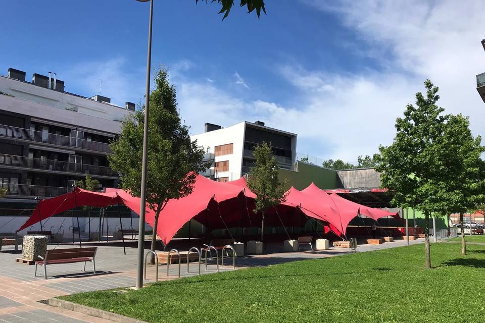 Carpa roja Irún