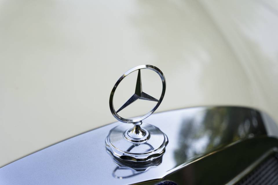 Detalle insignia Mercedes Benz