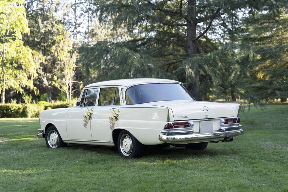 Mercedes Benz 220 Flores